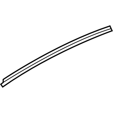 Pontiac 25861169 Molding