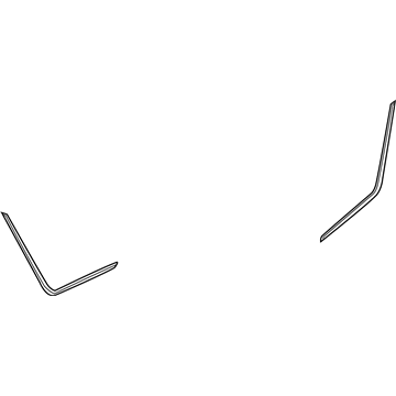 Pontiac 96541148 Seal Strip