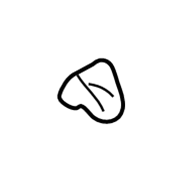 Chevy Express 3500 Door Seal - 85572848