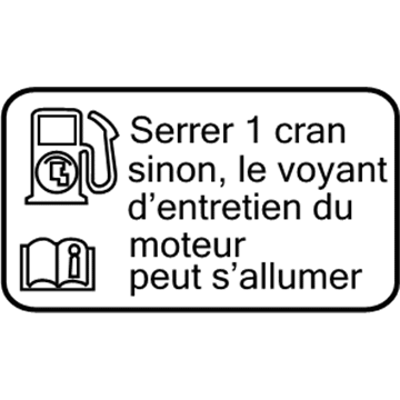 Chevy 22799917 Fuel Label