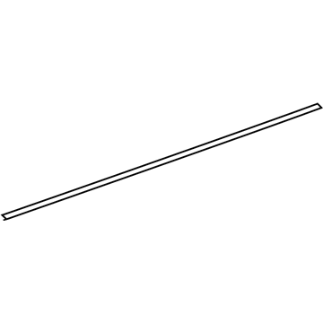 Pontiac 15816118 Lower Molding