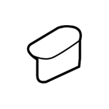 Chevy 19316172 Striker Cover Clip