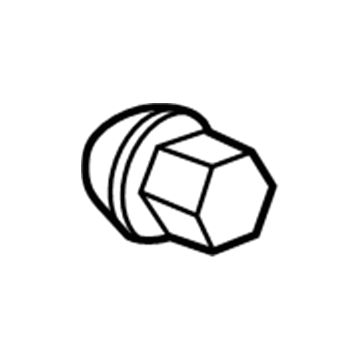 Chevy 9596863 Wheel Nut