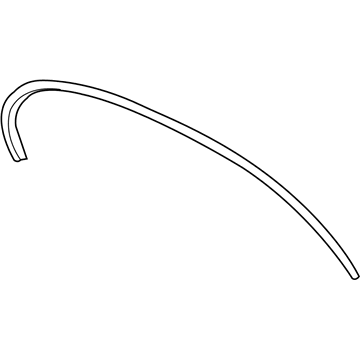 Chevy Weather Strip - 25958877