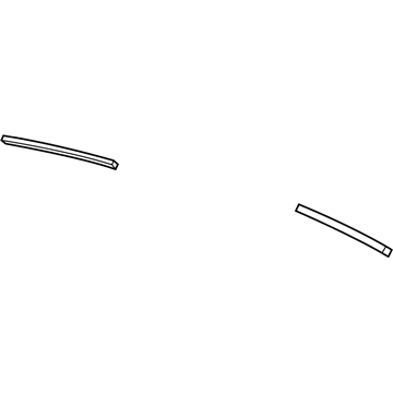 GM 92215603 Extension Panel Seal Strip