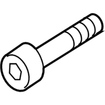 Chevy Belt Tensioner Bolt - 19318087