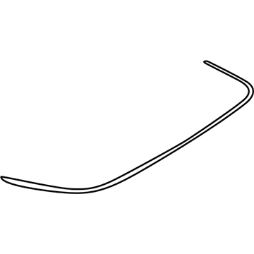 GM 25649496 Molding GM 25649496 Molding