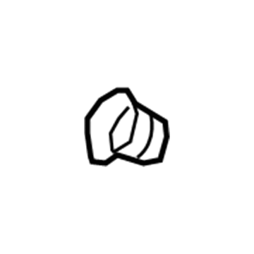 GM 19316294 Converter & Pipe Spring