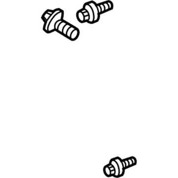 Chevy 11515756 Lower Hinge Bolt