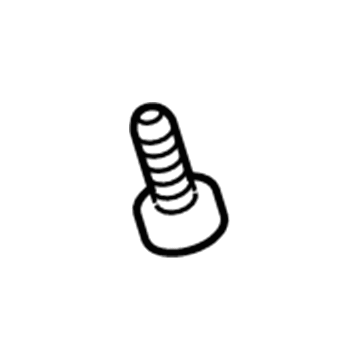 GM 11609992 Center Belt Assembly Screw, Front