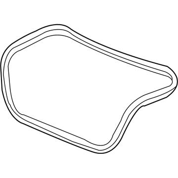 Pontiac Weather Strip - 15208506