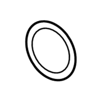 Buick 15282801 Air Mass Sensor O-Ring