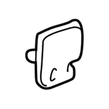 GM 15032632 Handle Bezel, Passenger Side