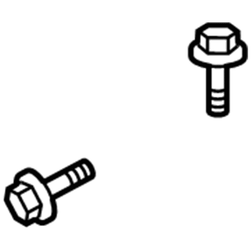 GM 88973059 Hinge Bolt