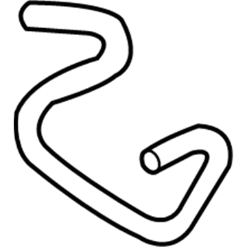 GM 20827320 Vapor Hose