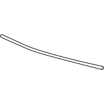 2015 Chevy Spark EV Weather Strip - 95270140