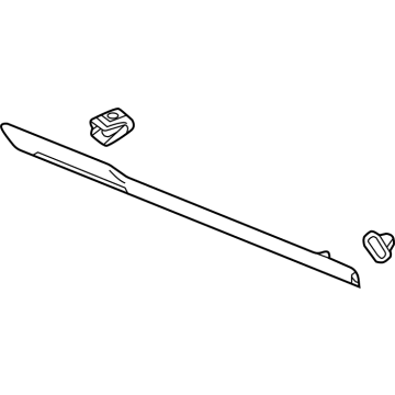 Cadillac Door Moldings - 84704779