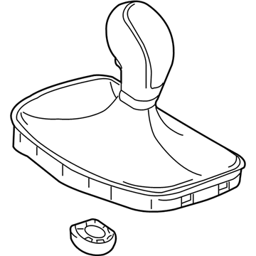 Buick Shift Knob - 55563836