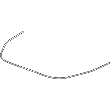 Buick 9056811 Front Weatherstrip