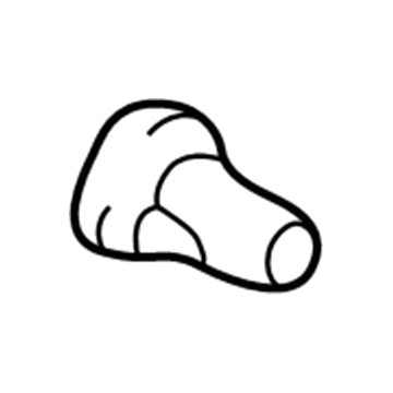 GM 88970718 Under Cover Nut