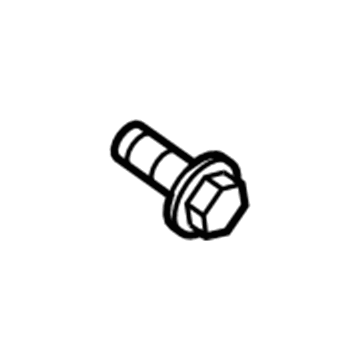 GM 21170113 Exterior Panel Bolt, Front Outer