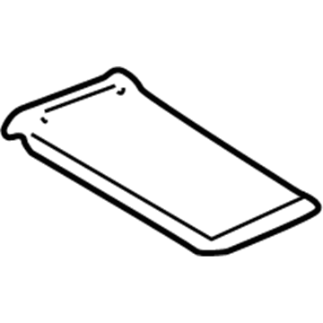 Buick 25695596 Front Door Plate