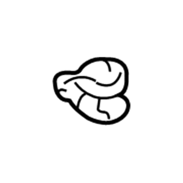 Buick Radiator Cap - 15989074