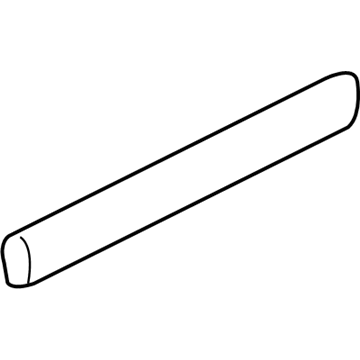 Buick 19120006 Body Side Molding