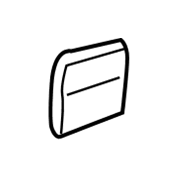 GM 15023285 Body Side Molding, Front Driver Side