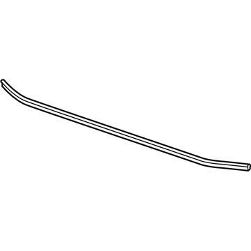 Buick Regal Weather Strip - 13248784