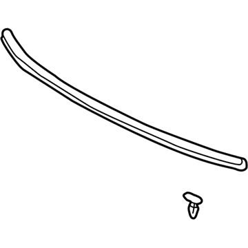 Pontiac Weather Strip - 88970793