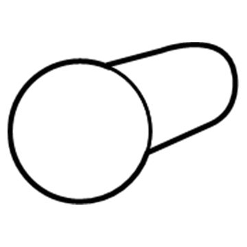 Chevy 15828918 Run Lamp Bulb