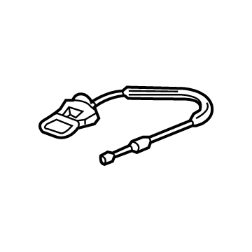 Cadillac Tailgate Handle - 23232792