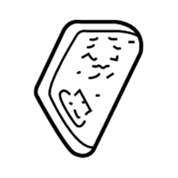 Pontiac 25735934 Info Label