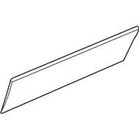 Cadillac Door Moldings - 19206135 Side Molding, Front Driver Side