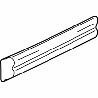 Chevrolet Tracker Door Moldings - 30025230 Side Molding, Outer Passenger Side