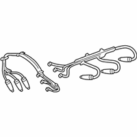 Buick Regal Spark Plug Wires - 19171849 Cable Set