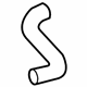 GM 88975748 Lower Hose