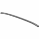 GM 20984878 Weatherstrip Retainer Strip, Front