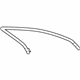 GM 20944860 Run Weatherstrip, Front Driver Side
