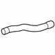 GM 84065766 Lower Hose