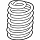 GM 22811850 Coil Spring, Rear