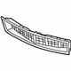 GM 22755378 Lower Grille, Black
