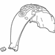 GM 42821506 Wheelhouse Liner, Rear Driver Side