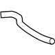 GM 23436684 Lower Hose
