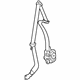 GM 19209758 Lap & Shoulder Belt, Driver Side