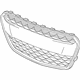 GM 42497032 Lower Grille GM 42497032 Lower Grille