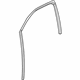 GM 84462156 Glass Weatherstrip, Front Driver Side