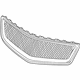 GM 15944629 Lower Grille, Silver