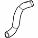 GM 85135098 Inlet Hose, Lower